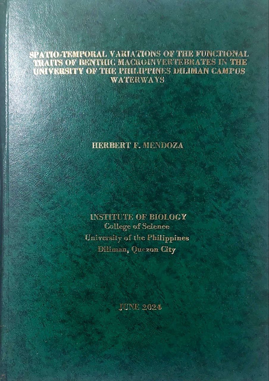 Undergraduate Thesis Preview